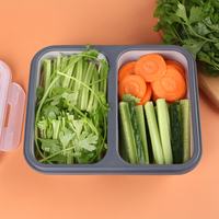Boîte à lunch pliable sans BPA en silicone, 2/3 compartiments, étanche, silicone de qualité alimentaire + couvercle en PP, couverts intégrés, logo personnalisé OEM