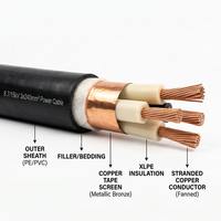 Cu/XLPE/PVC/SWA Feuerfestes Flexibles Armiertes Kabel 0,6/1kV Kupferleiter für Industrielle Infrastruktur