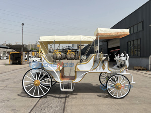 Calèche blanche de haute qualité, style rétro, style oriental, calèche à chevaux, transport spécial - Product Image 5