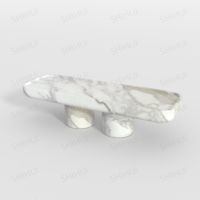 SH STONE personnalisé pierre naturelle surface polie Unique sculpté Design luxe rectangulaire décor à la maison basse table basse en marbre blanc