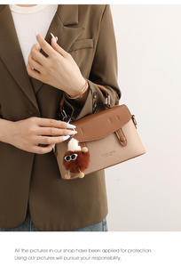 Высококачественная женская маленькая квадратная сумка <span class=keywords><strong>2026</strong></span> года – с магнитной застежкой для весны и лета - Product Image 5