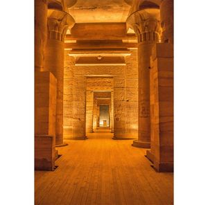 Toile <span class=keywords><strong>de</strong></span> <span class=keywords><strong>fond</strong></span> luxueuse <span class=keywords><strong>de</strong></span> château et <span class=keywords><strong>de</strong></span> palais pour la photographie, tapis rouge, escaliers, opéra, église, mariage, fête d'anniversaire, portrait, <span class=keywords><strong>fond</strong></span> photo - Product Image 3