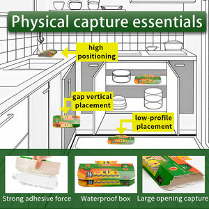 Pièges à mites efficaces pour les vêtements et le garde-manger, solution sûre et sans odeur, phéromone de qualité supérieure - Product Image 4
