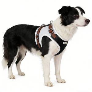 Arnés de Perro de Cuero de Lujo de Diseño OEM, Arnés de Correa para Mascotas Resistente y Personalizado, Sin Escape, con Colores Modernos - Product Image 1