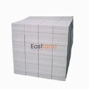 Autoclaved Aerated Concrete Wall Blocks (Lightweight flyash brick)