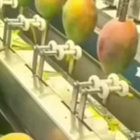Volledig Automatische Groente- en Fruitmango 2026 Groene Mango Schilmachine / Automatische Schilmachine voor mango