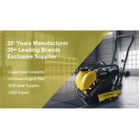 Compacteur portatif de terre d'inviolabilité de plat à moteur diesel de 6.5HP pour le travail compact de site avec les composants fiables de noyau de roulement de moteur