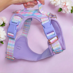 Arnés para Perro Transpirable y Personalizable, Arnés Resistente para Mascotas con Cierre <span class=keywords><strong>de</strong></span> Presión y Ribete Reflectante para <span class=keywords><strong>Seguridad</strong></span> Nocturna - Product Image 3