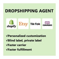 Services d'agent de dropshipping Shopify en France, services d'exécution des commandes, produits de marque blanche, agent de sourcing de produits personnalisés
