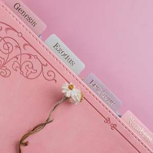 Impression personnalisée des anciens et nouveaux livres de l'Écriture Sainte, faciles à lire, avec des onglets verts et bleus pour la Bible - Product Image 2