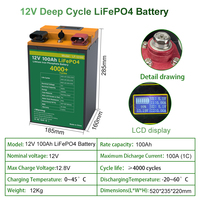 4000 دورة 2 USB 5A القابلة لإعادة الشحن بطارية ليثيوم فوسفات liFePO4 12V 100Ah بطارية أيون الليثيوم
