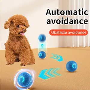 Mainan hewan peliharaan silikon interaktif keluaran baru bola anjing tahan lama untuk mainan memantul untuk anjing
