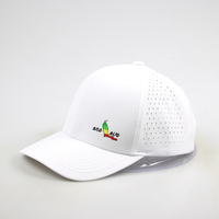 Chapeaux de golf personnalisés à 6 panneaux avec logo brodé Polyester imperméable perforé au laser Style sportif Motif de fruits Tissu éponge en jersey