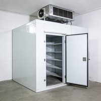 Chambre froide sur mesure Langda pour la conservation des aliments frais, congélateur pour viande, fruits, légumes, restaurant