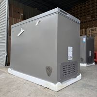 Congélateur coffre Hisesen de petite taille 203L/300L, couleur gris, norme européenne A+, économie d'énergie, refroidissement rapide, porte simple, 220V