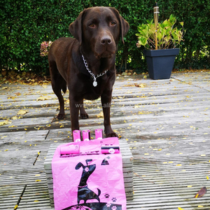 Pet Poop Waste Disposal <b>Bag</b> Biodegradable <b>Compostable</b> Degradable Dog Poop Poo Pop <b>Bag</b> for Dog - Product Image 4