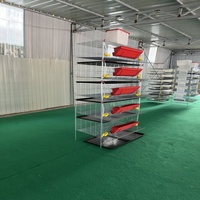 Cages à cailles de type H à 5 niveaux, hauteur 25-28 cm, adaptées aux cailles mâles et femelles pour l'obtention d'œufs fécondés