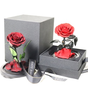 Ángeles rosas preservadas en cúpula de cristal regalo de San Valentín Flor de diente de león preservada - Product Image 6