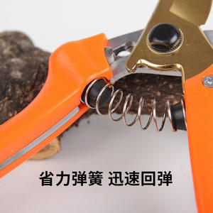 Cisailles de jardin Old Friend 75 mm en acier inoxydable à structure papillon pour branches de fruits, diamètre de coupe 20-30 mm - Product Image 4