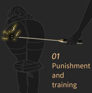 Fouet à Choc Électrique Rechargeable par USB Produits de Sexe Fouet en Cuir Éparpillé <span class=keywords><strong>BDSM</strong></span> Sex Toys <span class=keywords><strong>Femdom</strong></span> Queen Slave Cosplay % - Product Image 2