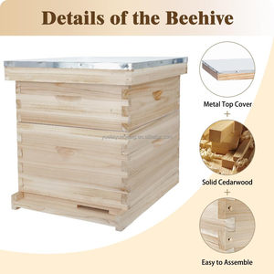 Imkerei-Werkzeuge zum Fabrikpreis: 2-stöckige Bienenstöcke mit 10 Rahmen aus Zedernholz, Standard-Bienenstöcke für chinesische und italienische Bienen - Product Image 3