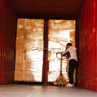 Pabrik menjual tahan panas transparan dinding ganda cangkir kaca dengan bunga kering