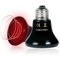 Lampe chauffante à spectre complet pour poussins, perroquets, serpents de compagnie, pour le maintien au chaud, sauna et lampe à vapeur