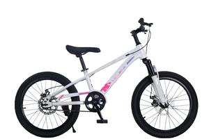Vélo de montagne pour enfants pour les élèves du collège et du lycée Fourches avant amortissantes Freins à disque Selle réglable - Product Image 2
