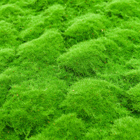 Offre Spéciale 1x1m tapis de gazon en mousse artificielle Simulation herbe murale pour la maison pelouse jardin paysage décor