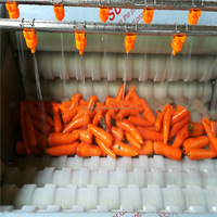Automatische Aardappelui Gemberwortel Schillen En Wasmachines Voor De Reinigingsmachine Voor De Productie Van Fruit En Groenten