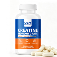Capsules de créatine monohydrate, complément nutritionnel sportif pour adultes, formule personnalisée, soutien énergétique pour l'entraînement, sans gluten, OEM, marque privée