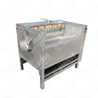 Volautomatische Efficiëntie Cassave Wortel Gember Aardappel Wasmachine Fruit En Groenten Reinigingsmachine