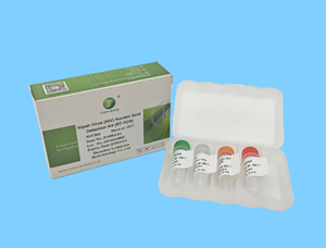 Kit de <span class=keywords><strong>Prueba</strong></span> de Ácido Nucleico del Virus Nipah (NIV) de Alta Precisión, <span class=keywords><strong>Prueba</strong></span> RT-<span class=keywords><strong>PCR</strong></span> para Detección en Animales (Cerdos), con <span class=keywords><strong>Precio</strong></span> de Fabricante - Product Image 3