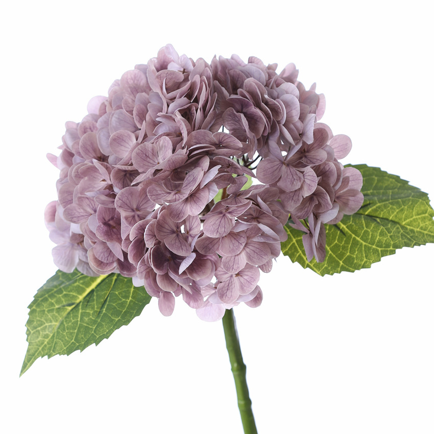 Violet foncé PU1