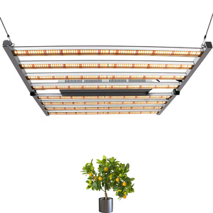 OEM Customized 640 Watt LED Grow <b>Light</b> Green House Planting 120 Degree Grow <b>Light</b> - Product Image 1