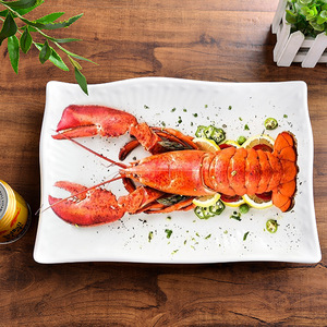A5 <b>melamine</b> white imitation porcelain plastic <b>plate</b>, large rectangular, suitable for Japanese sushi, barbecue, hot pot, and - Product Image 2