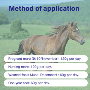 Bột tăng trưởng xương OEM cho sức khỏe và phát triển xương ngựa-Các chất dinh dưỡng cần thiết cho hiệu suất và ngựa đang phát triển trẻ - Product Image 4