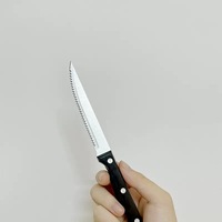 Ensemble de couteaux à steak dentelés en acier inoxydable pour cuisine, restaurant, camping, vaisselle, matériau métallique