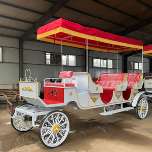 Calèche de tourisme à plusieurs places, calèche royale européenne personnalisée pour événements en plein air - Product Image 2