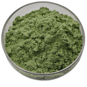 Toptan Saf Organik Gıda Sınıfı Bitkisel Ekstrakt Yeşil Ispanak Yaprağı ve Meyve Suyu Tozu, Solvent Ekstraksiyonlu - Product Image 5