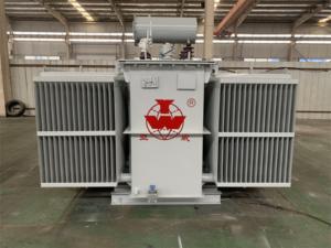 Transformateur de puissance 800 kVA 10 kV vers 400 V immergé dans l'huile, transformateur de distribution, transformateur moyenne et haute tension - Product Image 3