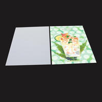 Film de sublimation 3D A4, 50 feuilles, un paquet, film coréen blanc et transparent pour la fabrication de coques de téléphone DIY avec machine à vide 3D