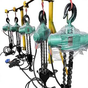HQ5 Fixed Walking Pneumatic <span class=keywords><strong>Hoist</strong></span> Kapasitas Beban <span class=keywords><strong>250kg</strong></span> Perlindungan IP55 untuk Jalur Bawah Tanah - Product Image 1