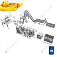 5-200T/D Mangosap Verwerkingsmachine Mangopuree Productielijn