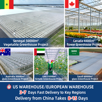 Serre agricole hydroponique multi-chapelles en verre Venlo de 1000 m² pour la culture de tomates