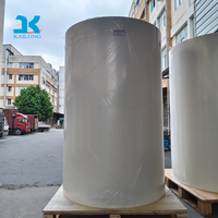 Gran Suministro de Material Termofusible Imprimible Digitalmente con Base de Poliimida/PVC, Ancho Personalizado, para Impresoras Comerciales, Impermeable y Ecológico
