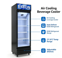 Vitrine réfrigérée verticale pour boissons, refroidisseur d'air commercial pour supermarchés et commerces de détail