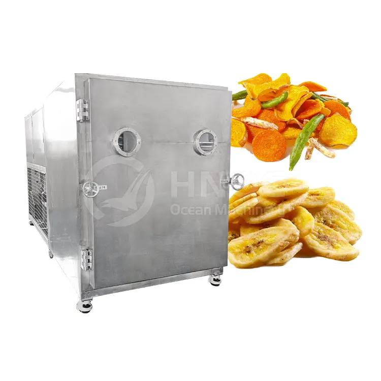 Океанский лиофилизатор, 20 кг, 50 кг, сублимационная машина для сушки фруктов и овощей на Филиппинах