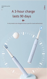 8 têtes de <span class=keywords><strong>brosse</strong></span> en gros USB charge personnalisée <span class=keywords><strong>ultra</strong></span>-mince sonique électrique vibrant adulte <span class=keywords><strong>brosse</strong></span> à dents électrique - Product Image 6
