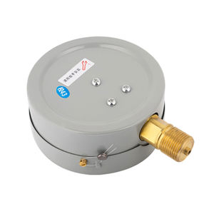 เกจวัดแรงดันน้ำ Y100 แบบธรรมดา เกจวัดแรงดันหม้อต้มน้ำ แบบเชื่อมต่อด้านล่าง ปรับแต่งโลโก้ได้ ราคาถูก - Product Image 5